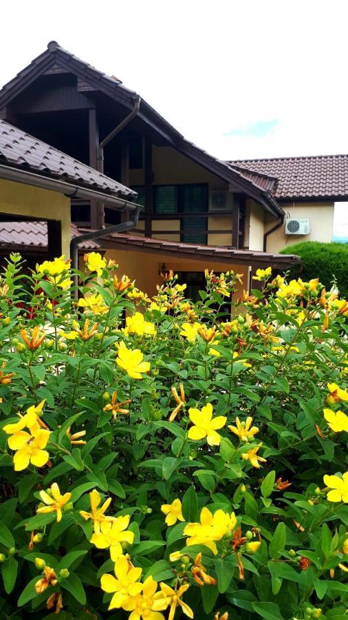 Silva House Deva Exterior foto