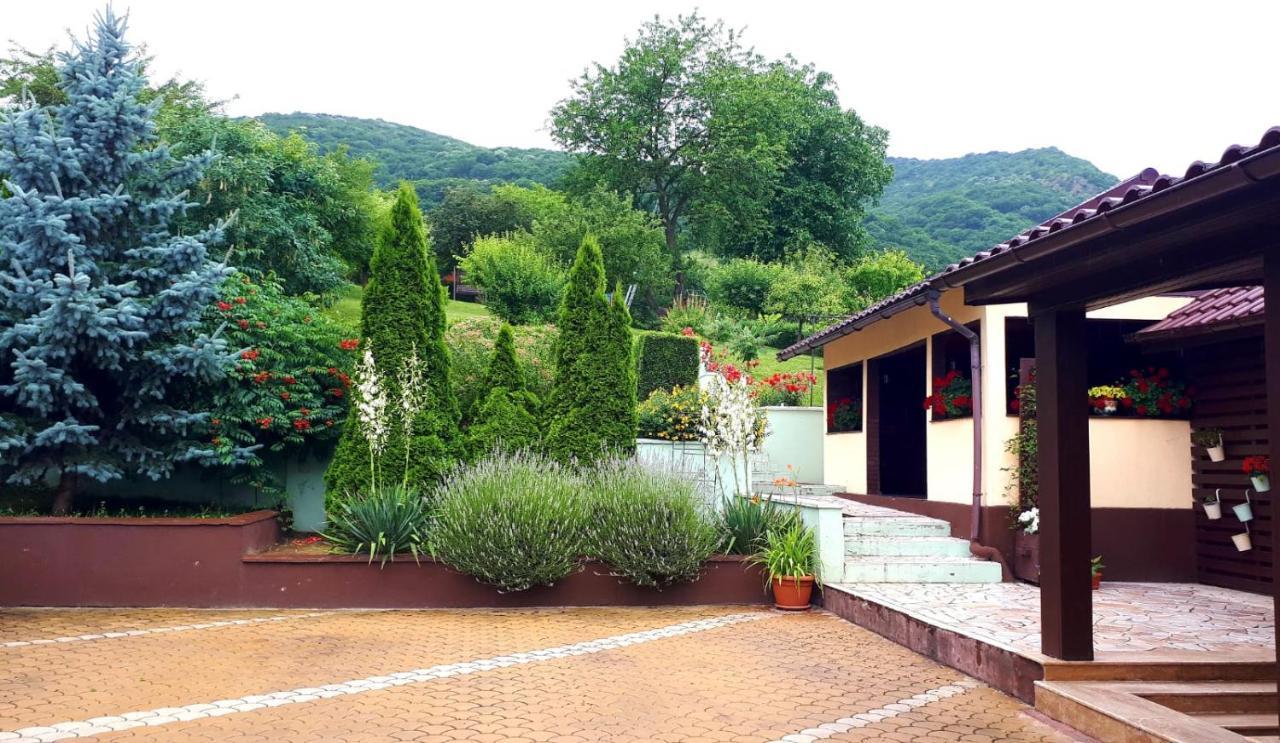 Silva House Deva Exterior foto